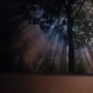 Vivita Apothecary & Fassage