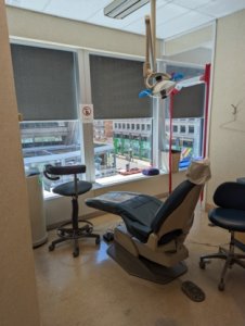 Bay Bloor Endodontics